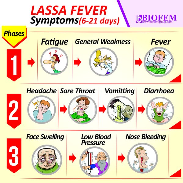 Biofem-group-Lassa-Fever Chart