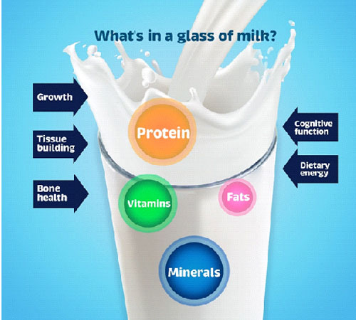 Untold Benefits Of Milk in a child's diet